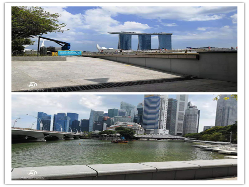 5c8f19ebda696.png C1_副本_副本.png