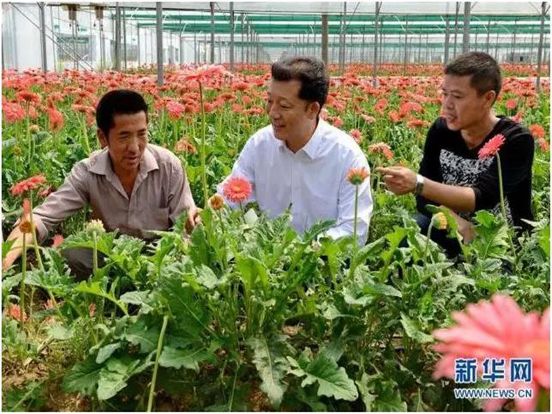 5d19ab72cf3b0.jpg 黨5.jpg