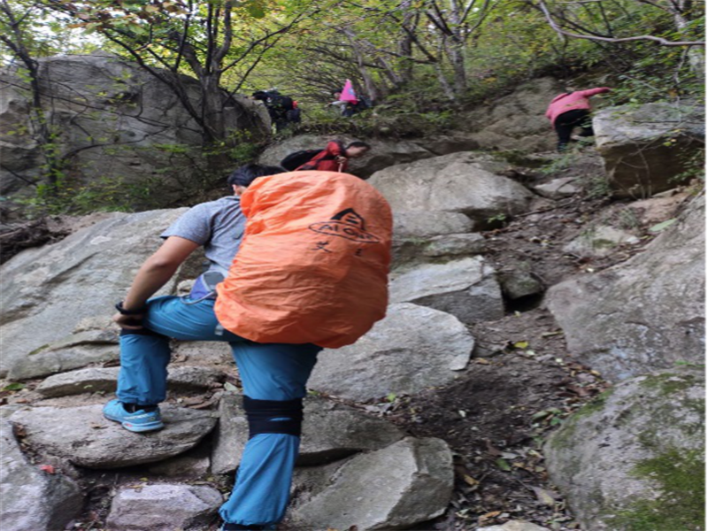 5d9fe7f93720e.png 圖片2_副本.png