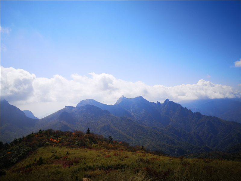 5db402b890bf0.png 圖片1_副本.png