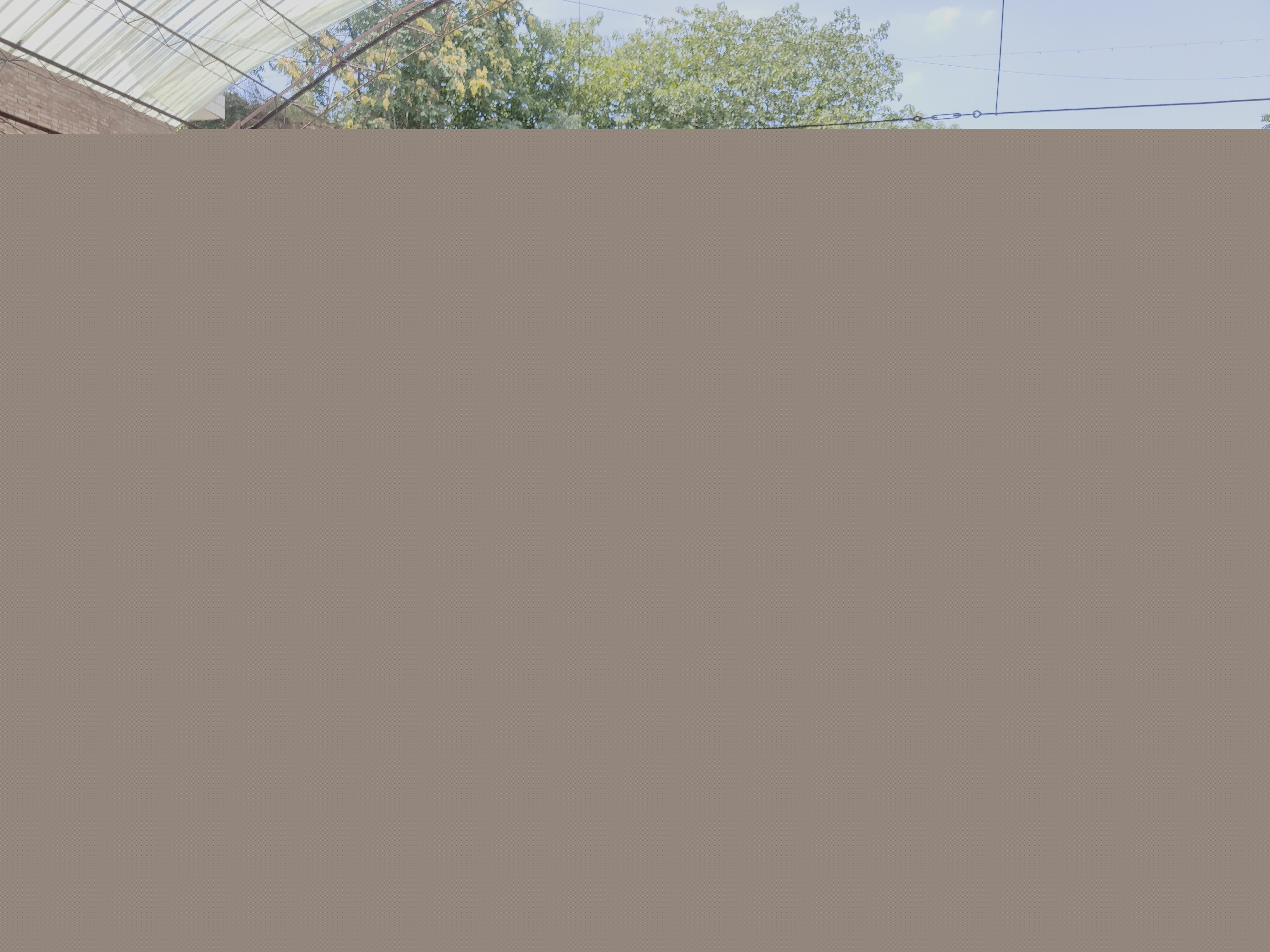 62cbccb15a54b.jpg 微信圖片_20220709162520.jpg