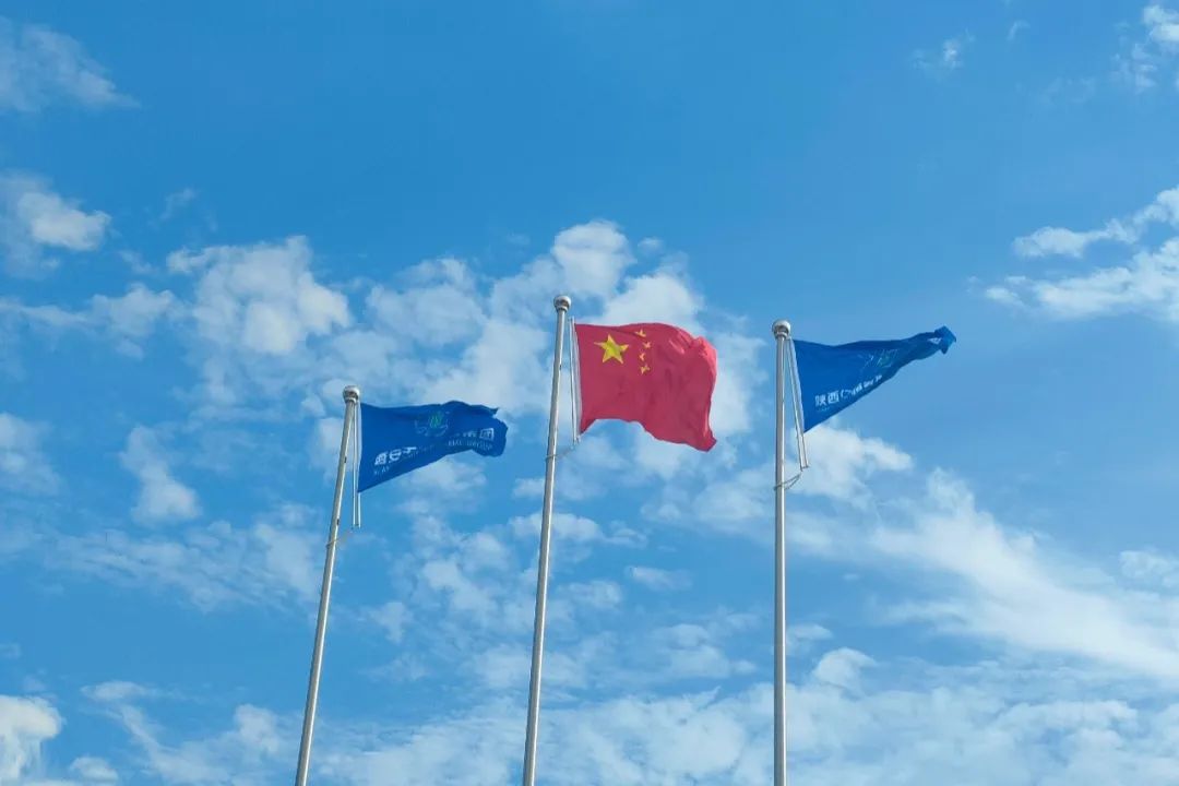 65154cd89dbc4.jpg 640 (2).jpg